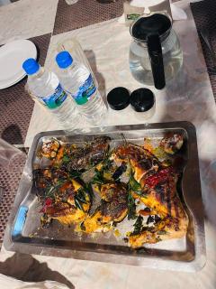 Ambewela rangers cottage - 4