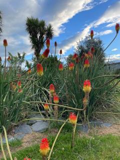 Bee Wild Garden Sanctuary Private Oasis - 5