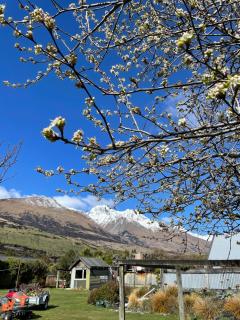 Bee Wild Garden Sanctuary Private Oasis - 8