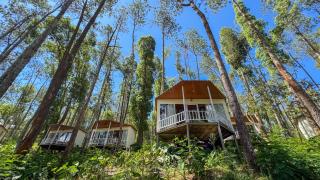 La Pino Mount Batur and Hot Spring - 0