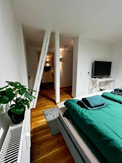 Stilvolle Ferienwohnung im Stadtzentrum Hachenburg - 9