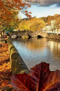 This is the Place - 1