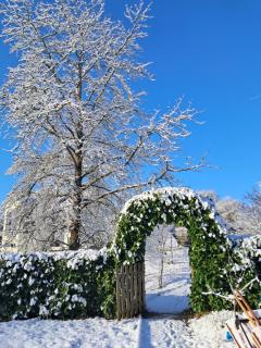 Loge'Mans - Rouillon - 7