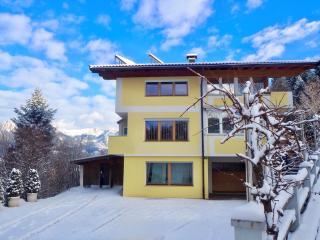 Alps Living Söll - Söll - 9