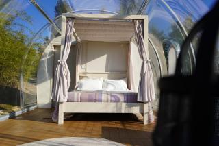 Agriturismo Tenuta Sol Alto - 6