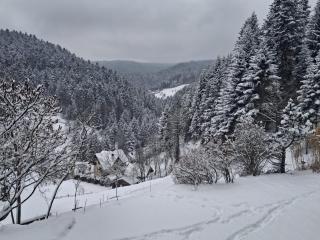 Domek w Jałowcach - 9