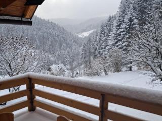 Domek w Jałowcach - 8