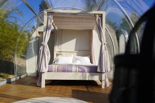 Agriturismo Tenuta Sol Alto - 7