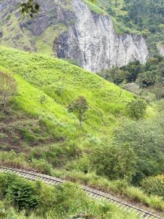 Monaara Leisure - Ella - 6