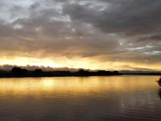 Old Willow Houseboats - 2