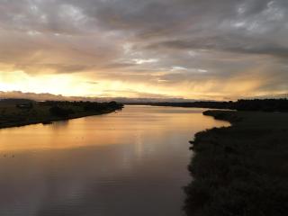 Old Willow Houseboats - 1