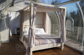 Agriturismo Tenuta Sol Alto - 9