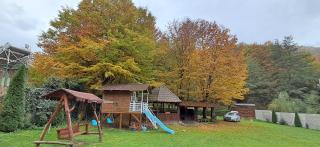 Cabana dintre vai Strungari - 8