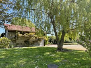 Les epervieres - Lentilles - 3