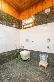 The Ashoka Tiger - 9