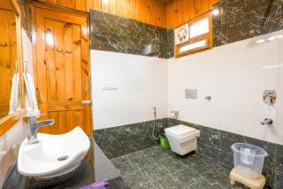 The Ashoka Tiger - 7