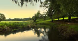 Elgin Farm Dullstroom - 6