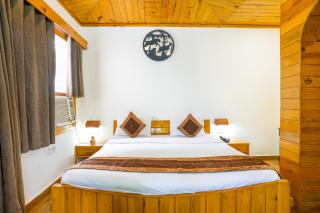 The Ashoka Tiger - 1