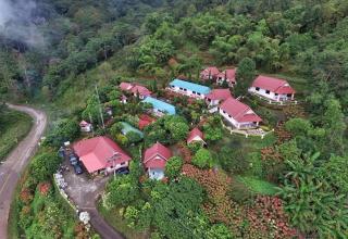 ไร่ร่มโพธิ์ทองรีสอร์ทภูชี้ฟ้าเชียงราย - 8