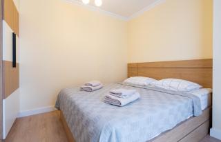 New Gudauri Four Season Premium Apartments - 1