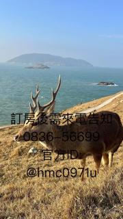 Matsu Star Yang Homestay - 8