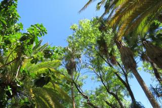 Faith City Guesthouse - 5