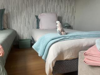 Macasa chambres et table d'hôte - 6