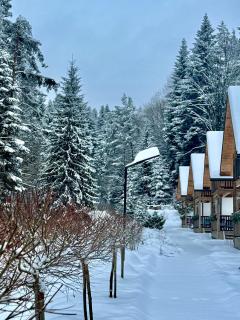 Domki Zew Natury - 9