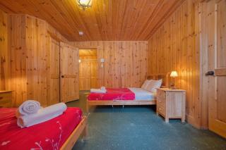 Chalet Cerf Ski in-out Appalaches Park 16 Guests - 3