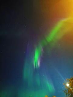 Charming house near city centre & Senja! - 8