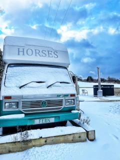 Pant y Rhedyn Glamping and camping site - 2