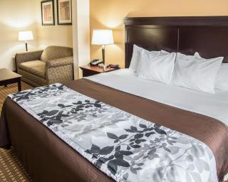 Sleep Inn & Suites Abilene Near University - Abilene - 9