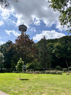 Annonce inactive - 1