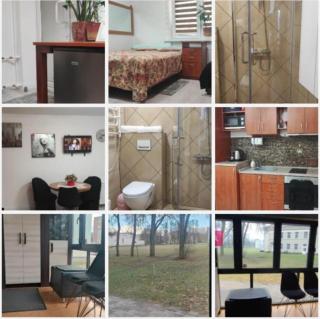 Gold Amber-Gold Honey - 3