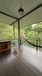 Part of house jungle View - 5