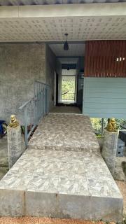 Part of house jungle View - 1