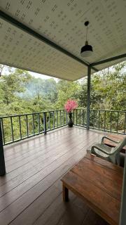 Part of house jungle View - 6