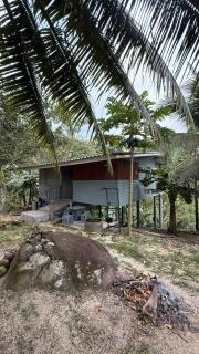 Part of house jungle View - 7