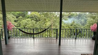 Part of house jungle View - 4