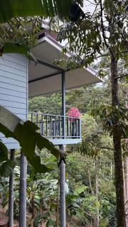 Part of house jungle View - 0