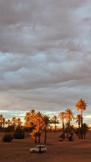 Arena Hostel Camp - 8