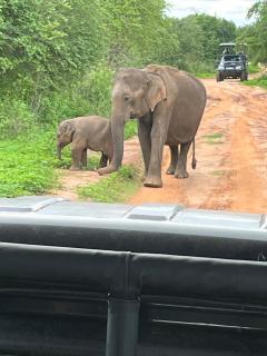 TESHI SAFARI VILLA - 6