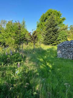 Home With Wild Garden Near The Sea - 8