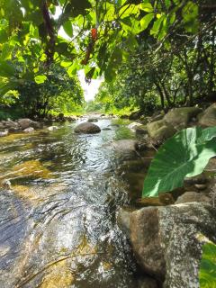 สถานีน้ำหวาน รีสอร์ท น้ำตกอ้ายเขียว - 3