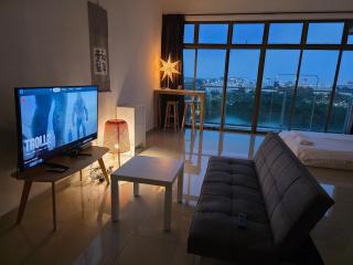 004 Palazio High Floor Netflix - 8