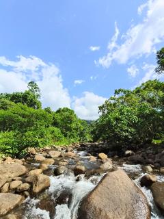 สถานีน้ำหวานรีสอร์ท น้ำตกอ้ายเขียว - 2
