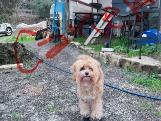 GP Cortijo Palmera - 9