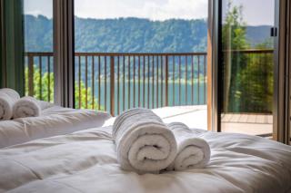 Adlerblick Penthouse mit Panoramaseeblick Ossiacher See - 1