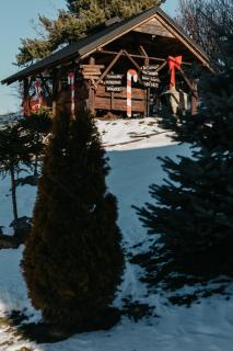 Bojkówka Domki Wypoczynkowe - 5