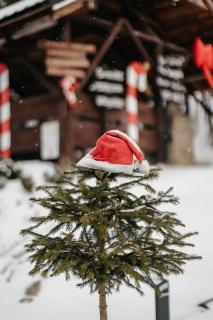 Bojkówka Domki Wypoczynkowe - Baligród - 6